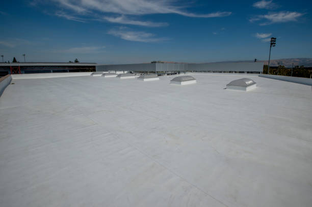 Best Asphalt Shingles Roofing  in Jesup, GA