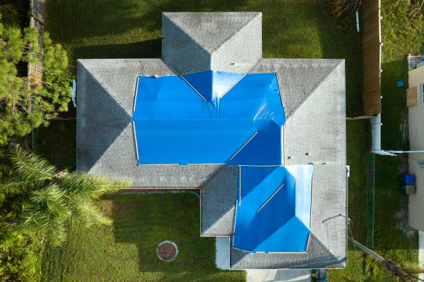 Best Asphalt Shingle Roofing  in Jesup, GA
