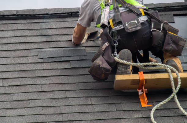 Best Roof Moss and Algae Removal  in Jesup, GA