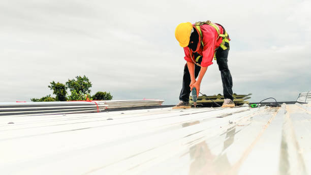 Best Solar Panel Roofing Installation  in Jesup, GA