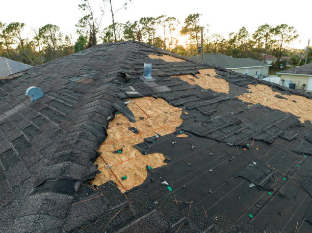 Best Roof Leak Repair  in Jesup, GA